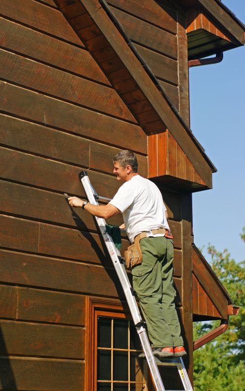 Log Home Staining detail